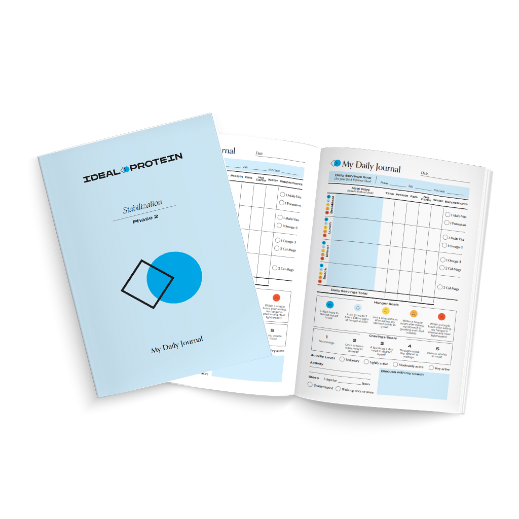 Phase 2 Daily Journal